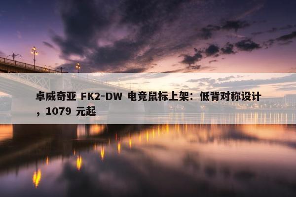 卓威奇亚 FK2-DW 电竞鼠标上架：低背对称设计，1079 元起