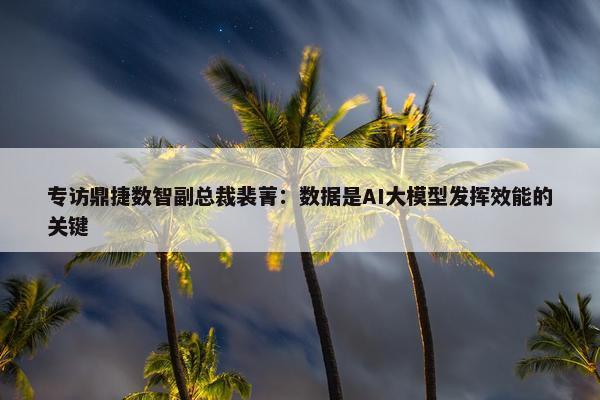 专访鼎捷数智副总裁裴菁：数据是AI大模型发挥效能的关键