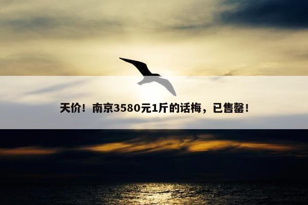 天价！南京3580元1斤的话梅，已售罄！