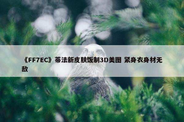 《FF7EC》蒂法新皮肤饭制3D美图 紧身衣身材无敌