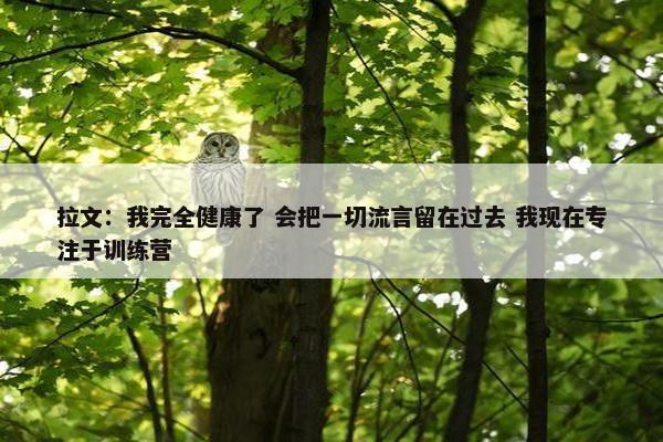 拉文：我完全健康了 会把一切流言留在过去 我现在专注于训练营