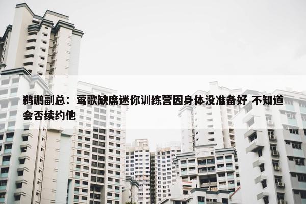 鹈鹕副总：莺歌缺席迷你训练营因身体没准备好 不知道会否续约他