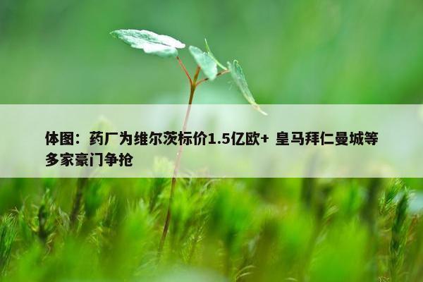 体图：药厂为维尔茨标价1.5亿欧+ 皇马拜仁曼城等多家豪门争抢