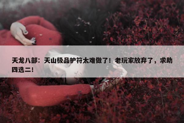 天龙八部：天山极品护符太难做了！老玩家放弃了，求助四选二！