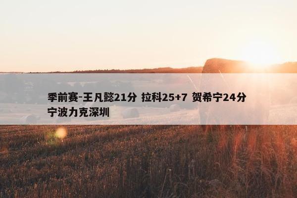 季前赛-王凡懿21分 拉科25+7 贺希宁24分 宁波力克深圳