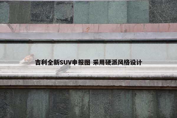 吉利全新SUV申报图 采用硬派风格设计