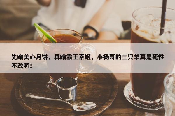 先蹭美心月饼，再蹭霸王茶姬，小杨哥的三只羊真是死性不改啊！