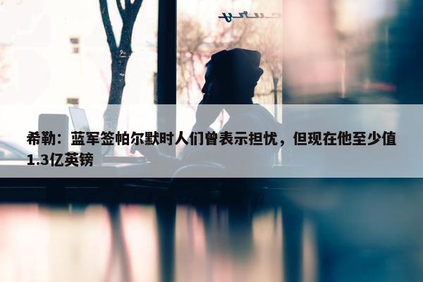 希勒：蓝军签帕尔默时人们曾表示担忧，但现在他至少值1.3亿英镑