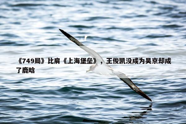 《749局》比肩《上海堡垒》，王俊凯没成为吴京却成了鹿晗