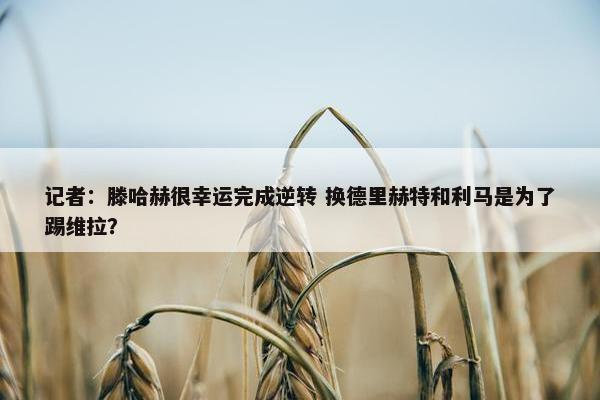 记者：滕哈赫很幸运完成逆转 换德里赫特和利马是为了踢维拉？