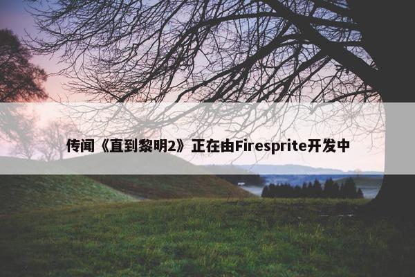 传闻《直到黎明2》正在由Firesprite开发中