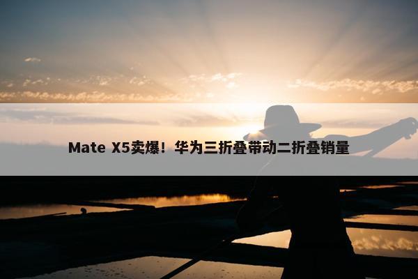 Mate X5卖爆！华为三折叠带动二折叠销量