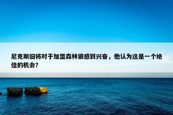 尼克斯旧将对于加盟森林狼感到兴奋，他认为这是一个绝佳的机会？