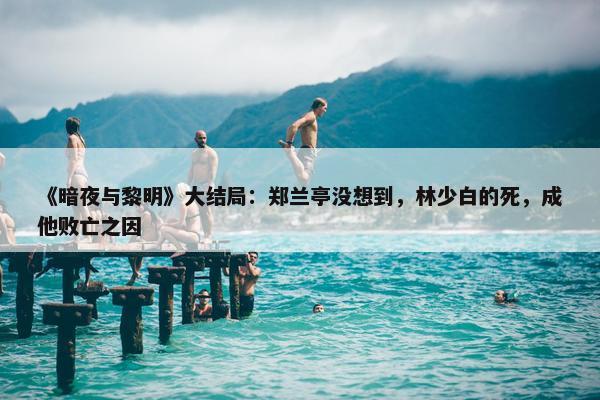 《暗夜与黎明》大结局：郑兰亭没想到，林少白的死，成他败亡之因