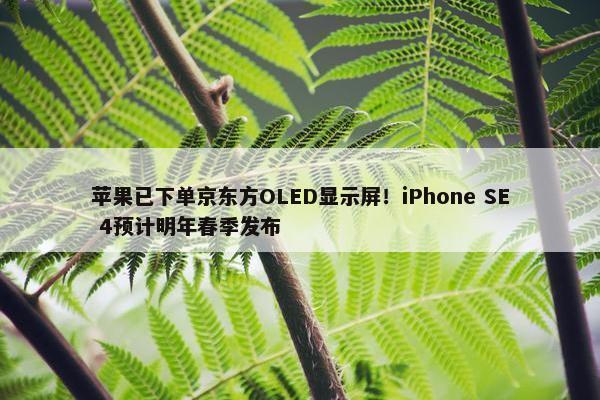 苹果已下单京东方OLED显示屏！iPhone SE 4预计明年春季发布