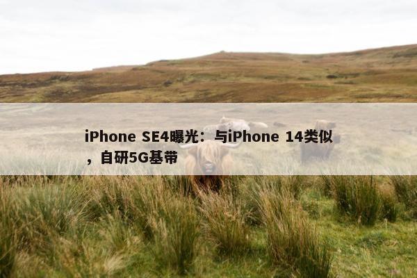 iPhone SE4曝光：与iPhone 14类似，自研5G基带