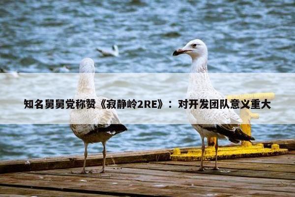 知名舅舅党称赞《寂静岭2RE》：对开发团队意义重大