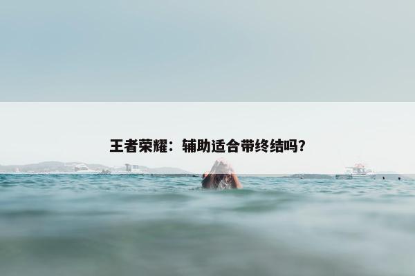 王者荣耀：辅助适合带终结吗？