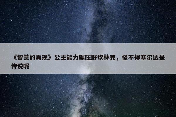 《智慧的再现》公主能力碾压野炊林克，怪不得塞尔达是传说呢