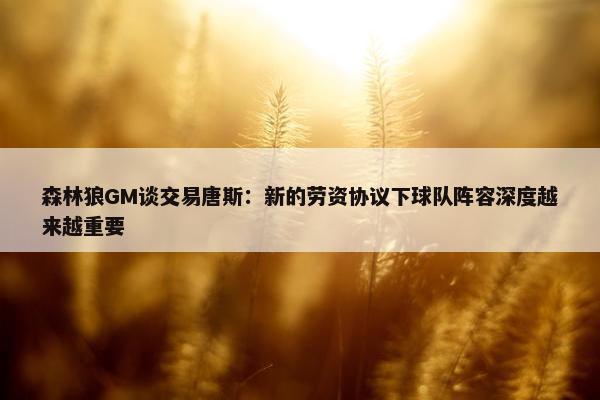 森林狼GM谈交易唐斯：新的劳资协议下球队阵容深度越来越重要