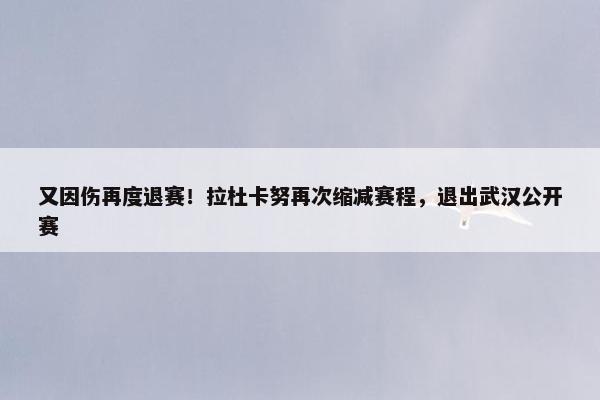 又因伤再度退赛！拉杜卡努再次缩减赛程，退出武汉公开赛