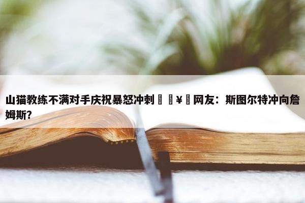 山猫教练不满对手庆祝暴怒冲刺🥵网友：斯图尔特冲向詹姆斯？