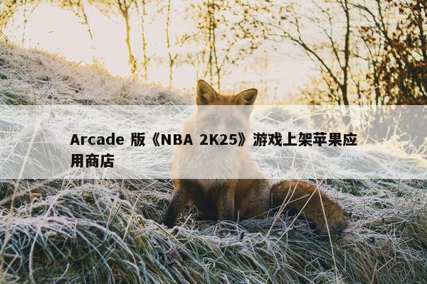 Arcade 版《NBA 2K25》游戏上架苹果应用商店