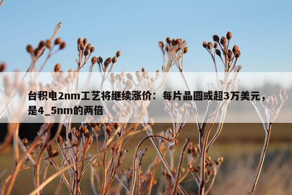 台积电2nm工艺将继续涨价：每片晶圆或超3万美元，是4_5nm的两倍