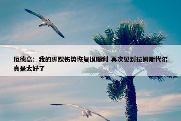 厄德高：我的脚踝伤势恢复很顺利 再次见到拉姆斯代尔真是太好了