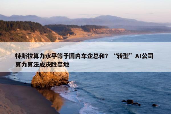 特斯拉算力水平等于国内车企总和？“转型”AI公司 算力算法成决胜高地