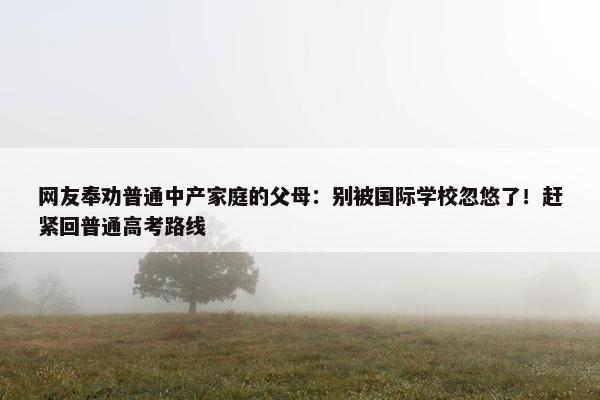 网友奉劝普通中产家庭的父母：别被国际学校忽悠了！赶紧回普通高考路线