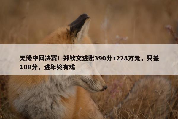 无缘中网决赛！郑钦文进账390分+228万元，只差108分，进年终有戏