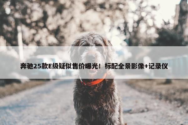 奔驰25款E级疑似售价曝光！标配全景影像+记录仪