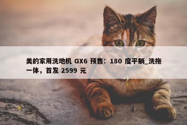 美的家用洗地机 GX6 预售：180 度平躺_洗拖一体，首发 2599 元