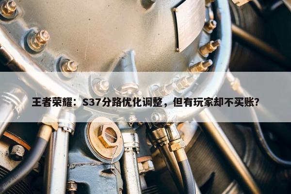 王者荣耀：S37分路优化调整，但有玩家却不买账？