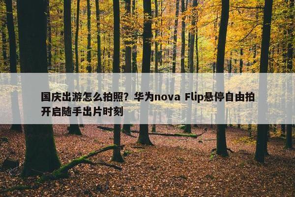 国庆出游怎么拍照？华为nova Flip悬停自由拍开启随手出片时刻