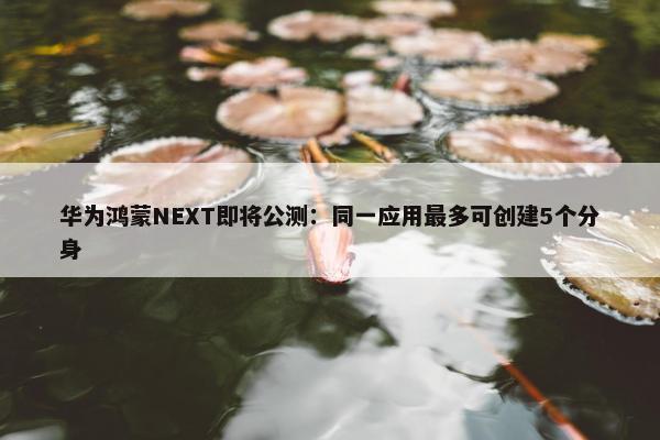 华为鸿蒙NEXT即将公测：同一应用最多可创建5个分身