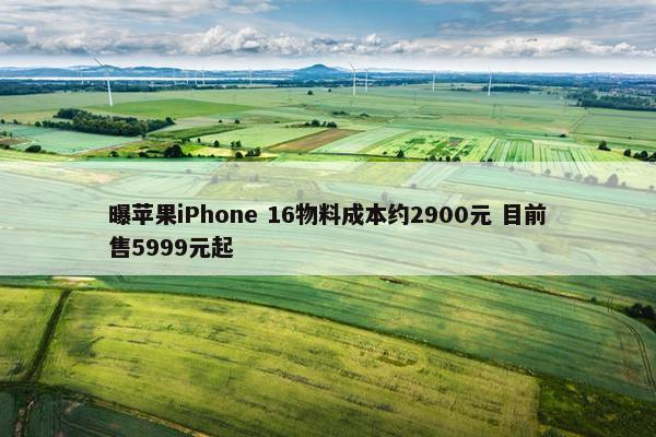 曝苹果iPhone 16物料成本约2900元 目前售5999元起