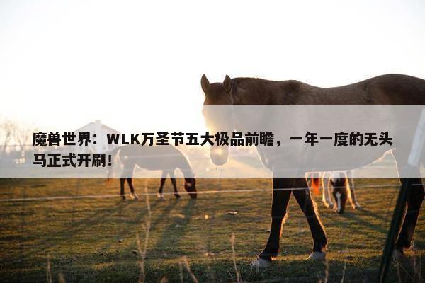 魔兽世界：WLK万圣节五大极品前瞻，一年一度的无头马正式开刷！