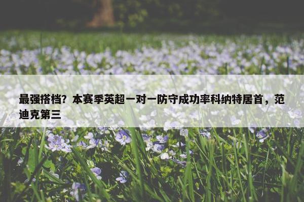 最强搭档？本赛季英超一对一防守成功率科纳特居首，范迪克第三