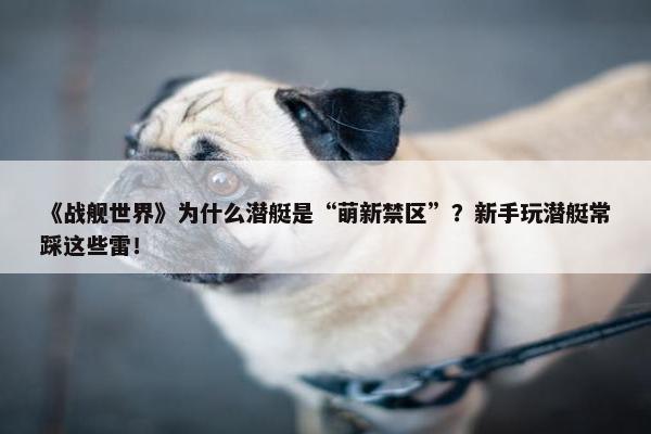 《战舰世界》为什么潜艇是“萌新禁区”？新手玩潜艇常踩这些雷！