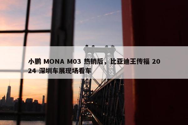 小鹏 MONA M03 热销后，比亚迪王传福 2024 深圳车展现场看车