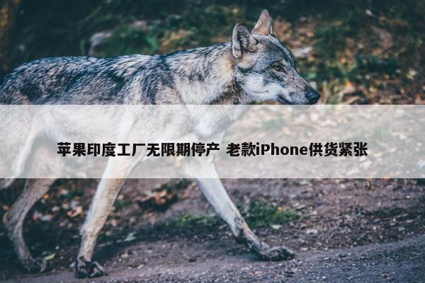 苹果印度工厂无限期停产 老款iPhone供货紧张