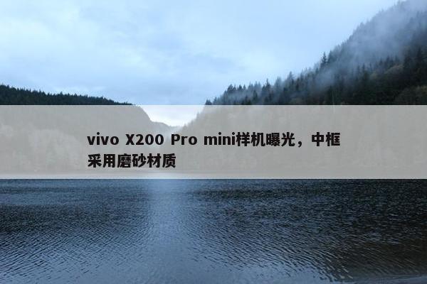 vivo X200 Pro mini样机曝光，中框采用磨砂材质