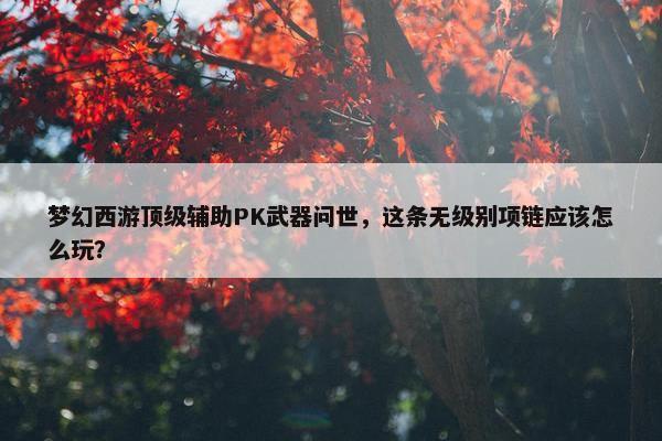 梦幻西游顶级辅助PK武器问世，这条无级别项链应该怎么玩？