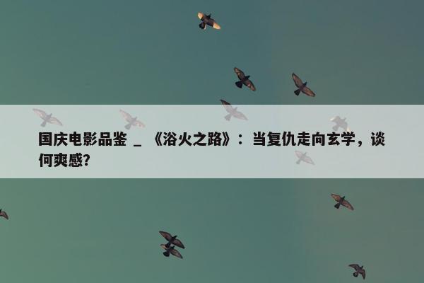 国庆电影品鉴 _ 《浴火之路》：当复仇走向玄学，谈何爽感？