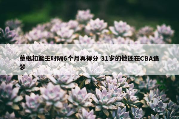 草根扣篮王时隔6个月再得分 31岁的他还在CBA追梦