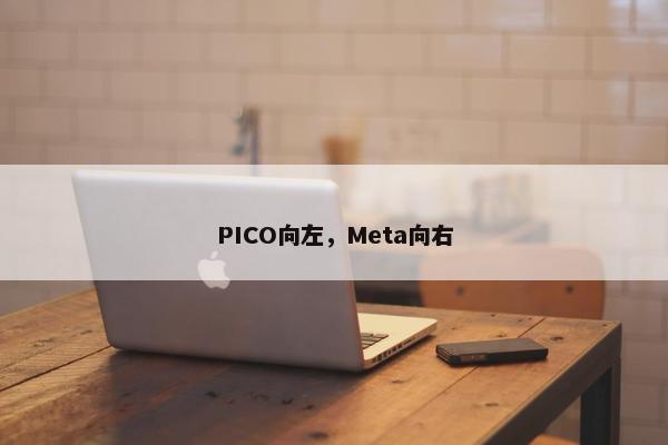 PICO向左，Meta向右