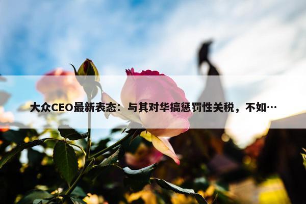 大众CEO最新表态：与其对华搞惩罚性关税，不如…