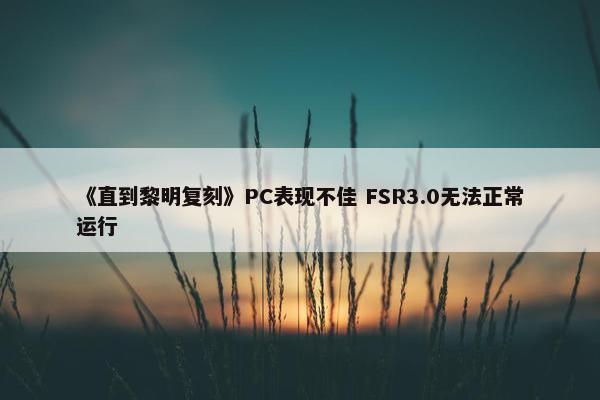 《直到黎明复刻》PC表现不佳 FSR3.0无法正常运行